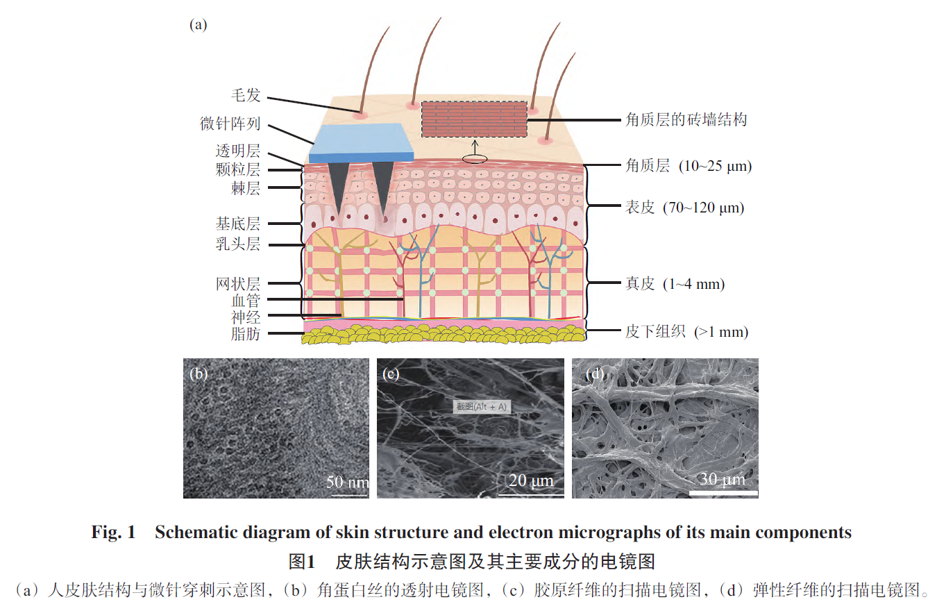 微信截圖_20230404100028.png