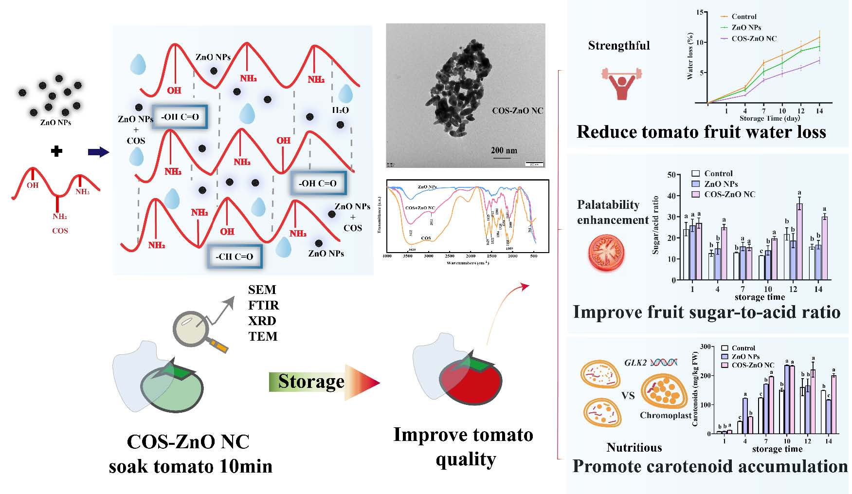上海騰拔質(zhì)構(gòu)儀助力浙江大學在Food Chemistry發(fā)表關(guān)于番茄的期刊論文