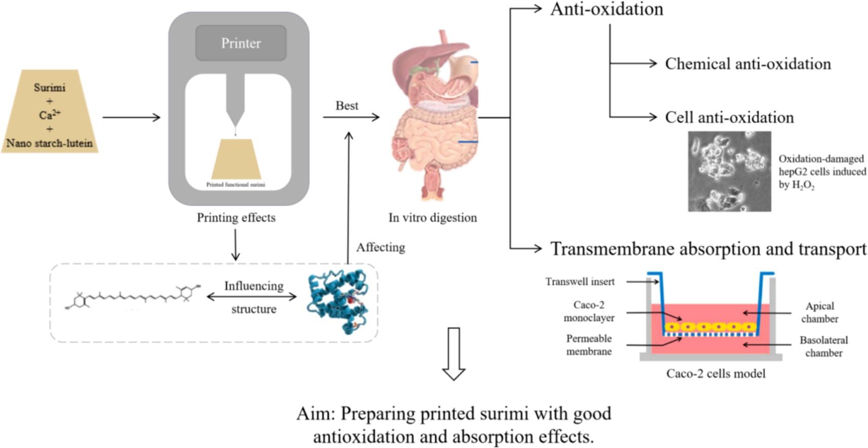 上海騰拔質(zhì)構(gòu)儀助力寧波大學(xué)在Food Research International發(fā)表論文