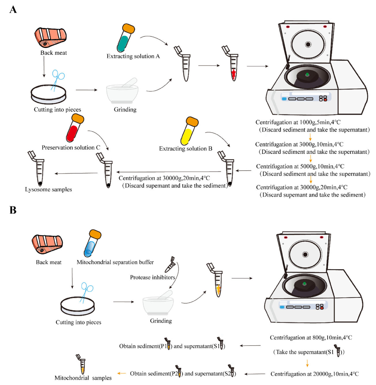 上海騰拔質(zhì)構(gòu)儀助力石河子大學在Food Chemistry發(fā)表最新研究成果