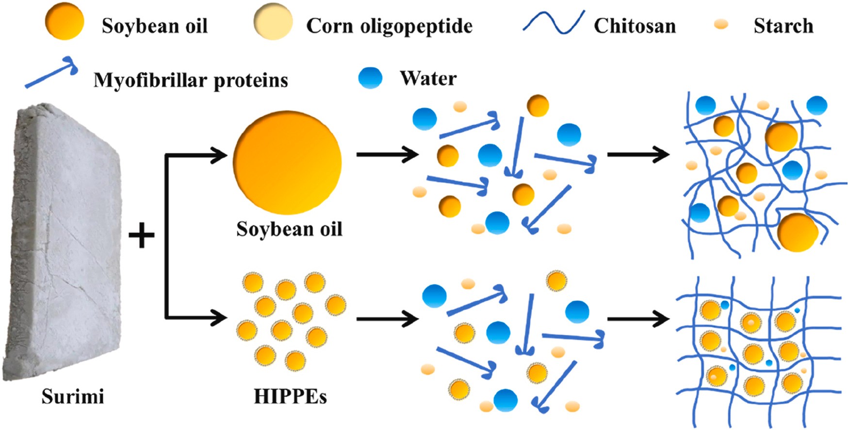 上海騰拔質(zhì)構(gòu)儀助力用戶在Food Hydrocolloids發(fā)表關(guān)于魚糜凝膠的論文